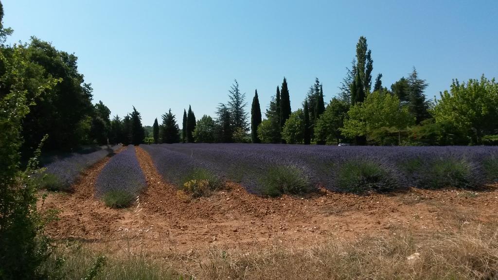 Residence Les Rossignols Roussillon (Vaucluse) Exterior foto