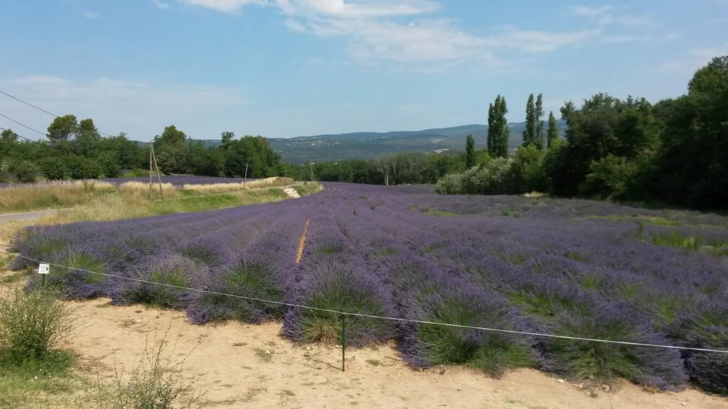 Residence Les Rossignols Roussillon (Vaucluse) Exterior foto